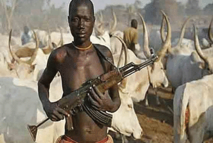Suspected Armed Herdsmen Strike Again in Benue, Kill 3-month-old baby, couple, one other