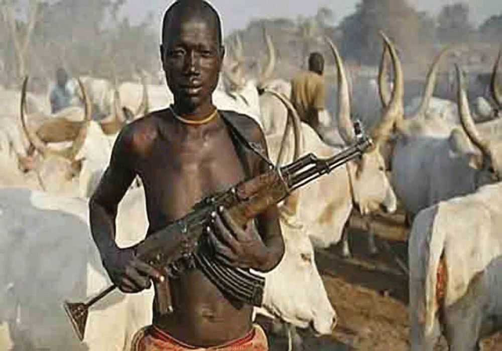 Suspected Armed Herdsmen Strike Again in Benue, Kill 3-month-old baby, couple, one other