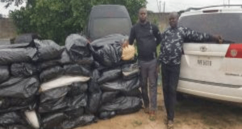 NDLEA recovers 8,268kg of cocaine, heroin in Bauchi, Ondo, 5 Other States