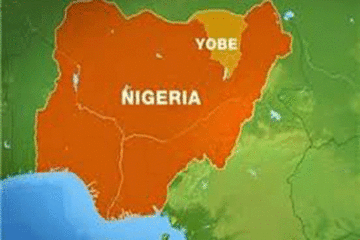 Yobe govt. lauds security for arresting illegal clinic proprietor