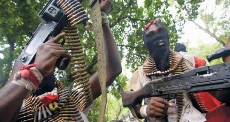 Unknown gunmen kill 7 in Adamawa community – Police