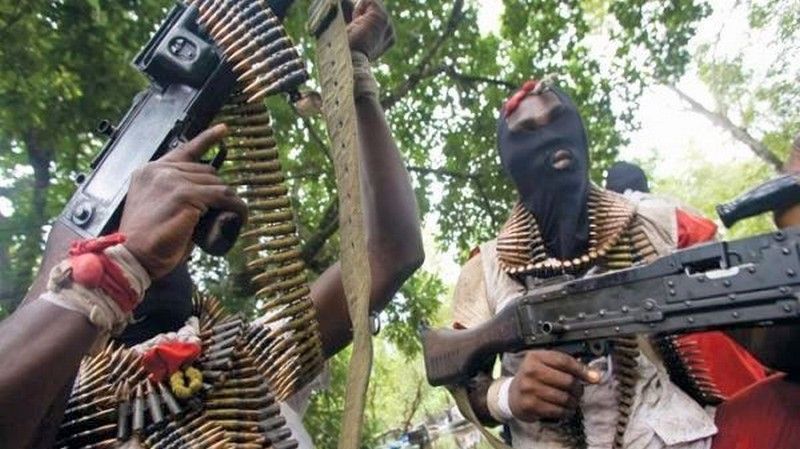Unknown gunmen kill 7 in Adamawa community – Police