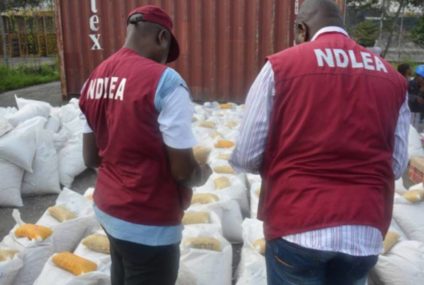 NDLEA arrested 351 suspected illicit drug traffickers in 2021
