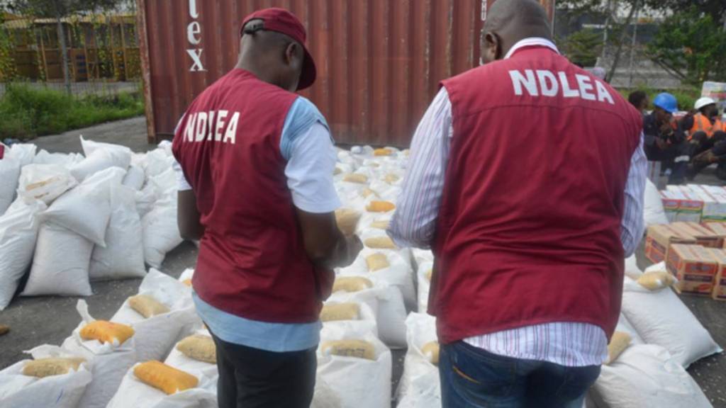 NDLEA arrested 351 suspected illicit drug traffickers in 2021