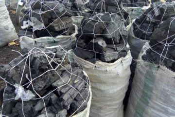 State government bans use of charcoal 